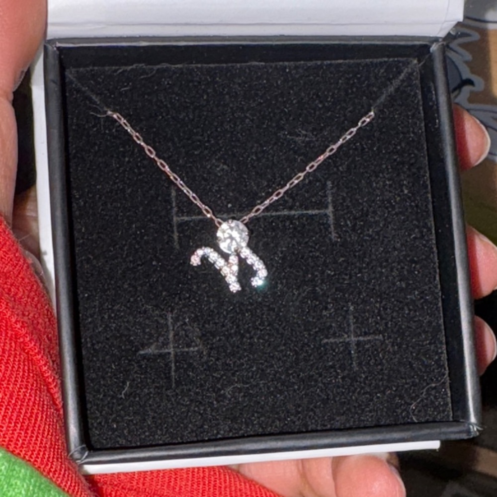 Swarovski Silver Zodiac Pendant Necklace